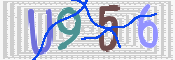 Image Anti-spam